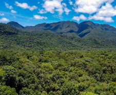 MATA ATLÂNTICA