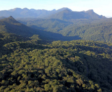 MATA ATLÂNTICA