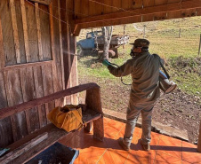 Vigilância ativa e integração entre Estado e municípios fortalecem combate à doença de Chagas no Paraná