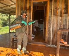 Vigilância ativa e integração entre Estado e municípios fortalecem combate à doença de Chagas no Paraná