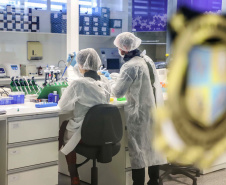 Polícia Científica do Paraná coleta DNA de familiares para identificar pessoas desaparecidas
