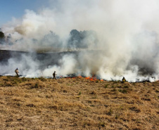  Fogo em terrenos baldios pode causar incêndios de grandes proporções
