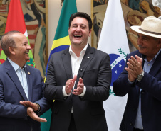 GOVERNADOR FLORIANÓPOLIS