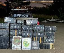 PMPR apreende mais de 900 quilos de maconha e causa prejuízo de R$ 1,9 milhão ao crime organizado