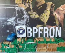 PMPR apreende mais de 900 quilos de maconha e causa prejuízo de R$ 1,9 milhão ao crime organizado