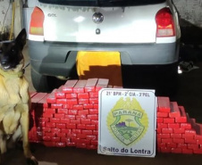 PMPR apreende mais de 900 quilos de maconha e causa prejuízo de R$ 1,9 milhão ao crime organizado