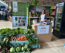 Agricultores do Rio Miringuava apoiados pela Sanepar estreiam na Feira de Sabores.