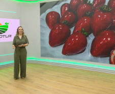 AgroTur estreia de cara nova na TV Paraná Turismo nesta terça-feira