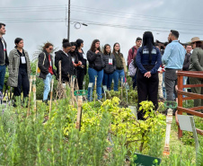 Cascavel tem evento de agroecologia com foco no inverno