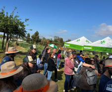 Cascavel tem evento de agroecologia com foco no inverno
