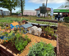 Cascavel tem evento de agroecologia com foco no inverno
