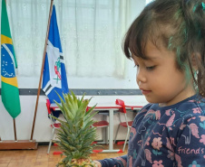 SESA - Programa Saúde na Escola soma mais de 48 mil ações em sete meses e mobiliza quase 3 milhões de participações