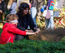 Entre arte e natureza: MUPA oferece diversas atividades na 19° Primavera dos  Museus