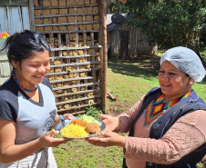 Escola estadual indígena mescla pratos tradicionais da cultura Guarani ao cardápio da alimentação escolar