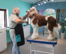 serviços Petshop