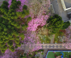 SIMEPAR PRIMAVERA