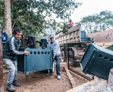 Parceria entre IAT e Criadouro Onça-Pintada já repovoou o Parque das Lauráceas, na Região Metropolitana de Curitiba, com 566 animais, entre queixadas, catetos e quatis