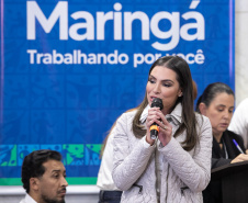 CONTORNO MARINGÁ