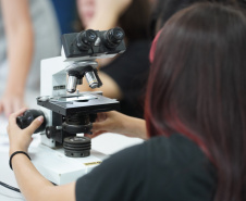 Paraná lidera ranking nacional de proporção de escolas com laboratórios de ciências