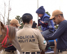 Projeto de Equoterapia da PMPR amplia atendimento com apoio da Sanepar