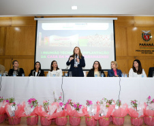 SEMIPI: Paraná realiza reunião técnica sobre implantação da Casa da Mulher Paranaense
