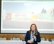 SEMIPI: Paraná realiza reunião técnica sobre implantação da Casa da Mulher Paranaense