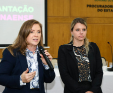 SEMIPI: Paraná realiza reunião técnica sobre implantação da Casa da Mulher Paranaense