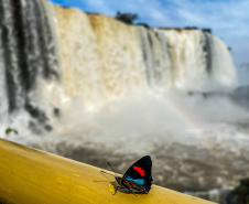 CATARATAS