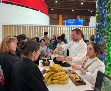 Estande recorde, gastronomia e coexpositores: Viaje Paraná participa de feira em Buenos Aires