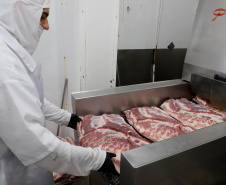 CARNE SUÍNA