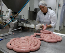 CARNE SUÍNA