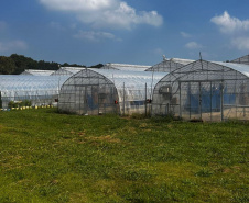 Missão estratégica no Japão fortalece cooperação em pesquisa, biociências e tecnologia
