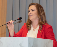 SEMIPI - Governo vai orientar municípios na elaboração do Plano dos Direitos da Mulher