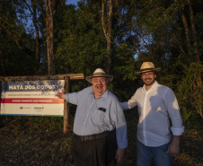 Referência em preservação no Norte do Paraná, Mata dos Godoy reabre após revitalização