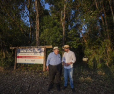 Referência em preservação no Norte do Paraná, Mata dos Godoy reabre após revitalização