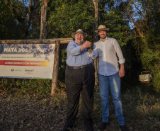 Referência em preservação no Norte do Paraná, Mata dos Godoy reabre após revitalização