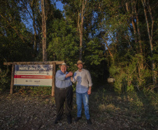 Referência em preservação no Norte do Paraná, Mata dos Godoy reabre após revitalização