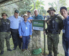 Referência em preservação no Norte do Paraná, Mata dos Godoy reabre após revitalização