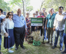 Referência em preservação no Norte do Paraná, Mata dos Godoy reabre após revitalização