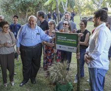 Referência em preservação no Norte do Paraná, Mata dos Godoy reabre após revitalização