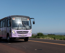 Semipi: Mais de 60 cidades já receberam o Ônibus Lilás em 2025