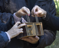 Instrução Normativa elaborada pelo IAT institui o cadastro voluntário de Áreas de Soltura de Animais Silvestres (ASAS).