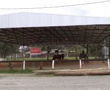 Projeto de Equoterapia da PMPR amplia atendimento com apoio da Sanepar