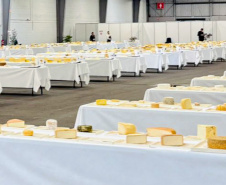 QUEIJO NA FRANÇA