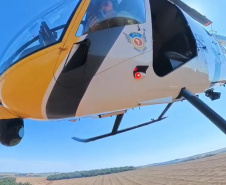 Cargas de cigarros e cinco veículos são apreendidos com uso do helicóptero Falcão 13