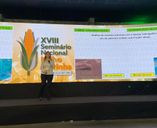 Milho: produzir mais é desafio para a pesquisa e a extensão rural
