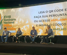 Milho: produzir mais é desafio para a pesquisa e a extensão rural