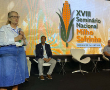 Milho: produzir mais é desafio para a pesquisa e a extensão rural