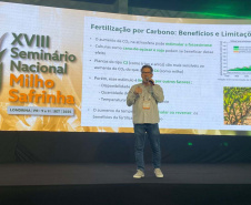 Milho: produzir mais é desafio para a pesquisa e a extensão rural