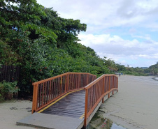 ilha